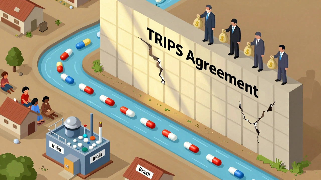 TRIPS Agreement and Generic Medicine Access: How Global Patent Rules Limit Life-Saving Drugs